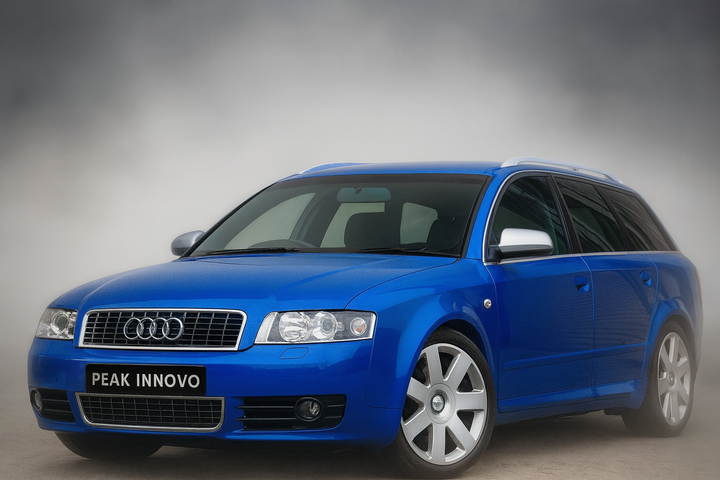 Audi S4 B6 Fog Light Grille